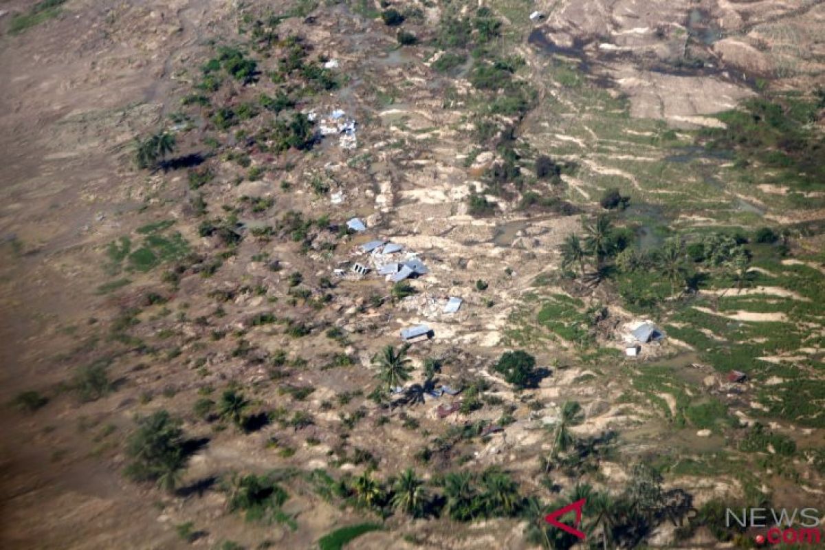 Jono Oge berubah jadi ladang jagung pasca gempa