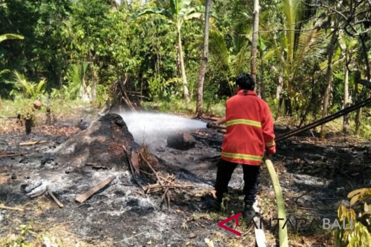 Lagi, kebun warga Jembrana terbakar