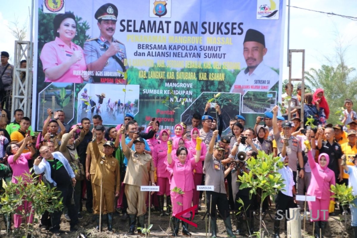 Pemkab Serdang Bedagai-Polda tanam ribuan mangrove