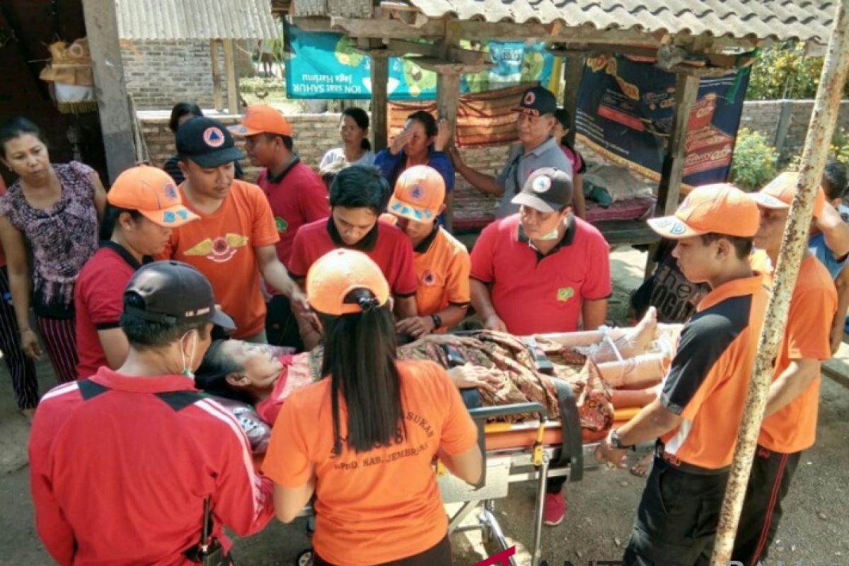 Terjadi tujuh kali gempa susulan pascagempa 6,0 SR di Jembrana