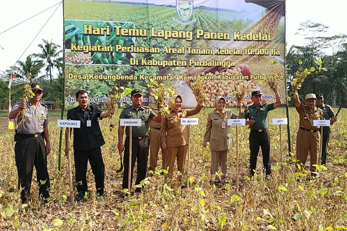 Purbalingga produksi kedelai 8.591 ton