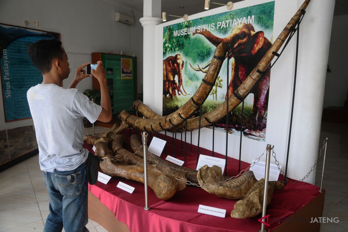 Pemkab Kudus diminta serius kembangkan Situs Patiayam