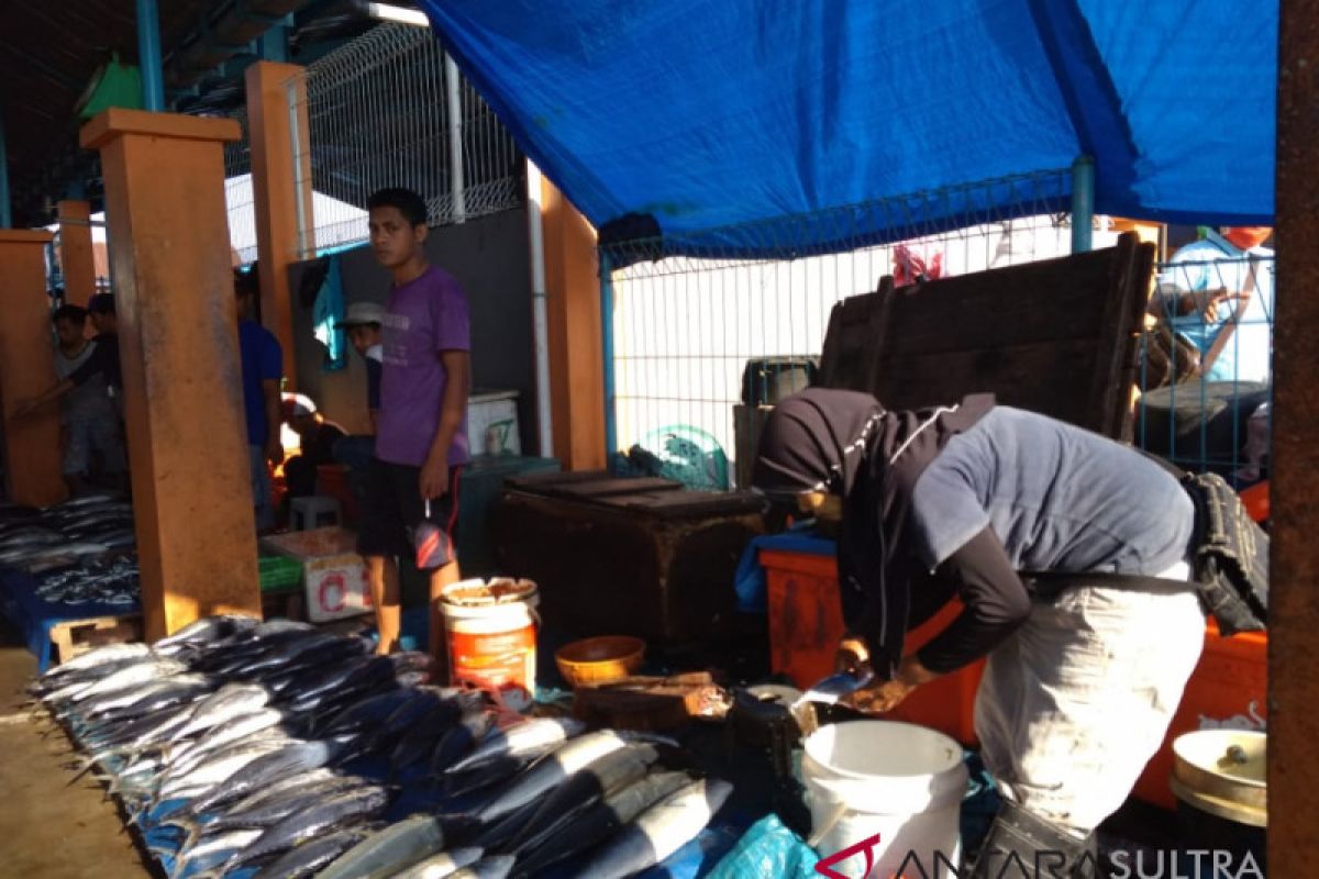 Turun, pendapatan penjual ikan di Kendari