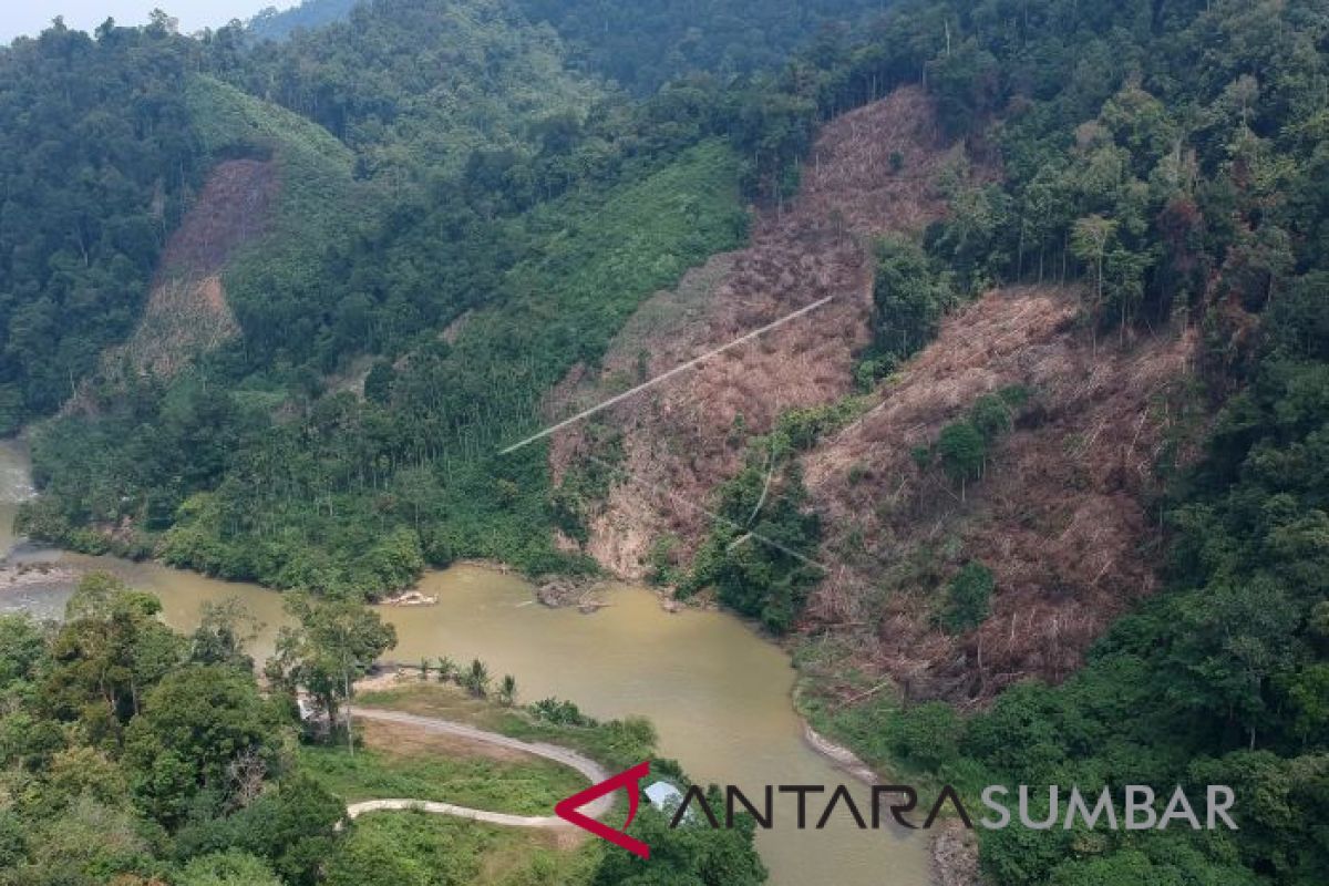 Selama 2018, terjadi tiga kasus pengrusakan hutan di kawasan TNKS