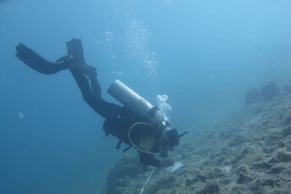 Lestarikan ekosistem terumbu karang Pulau Pramuka, FDC IPB gelar Coralation VII