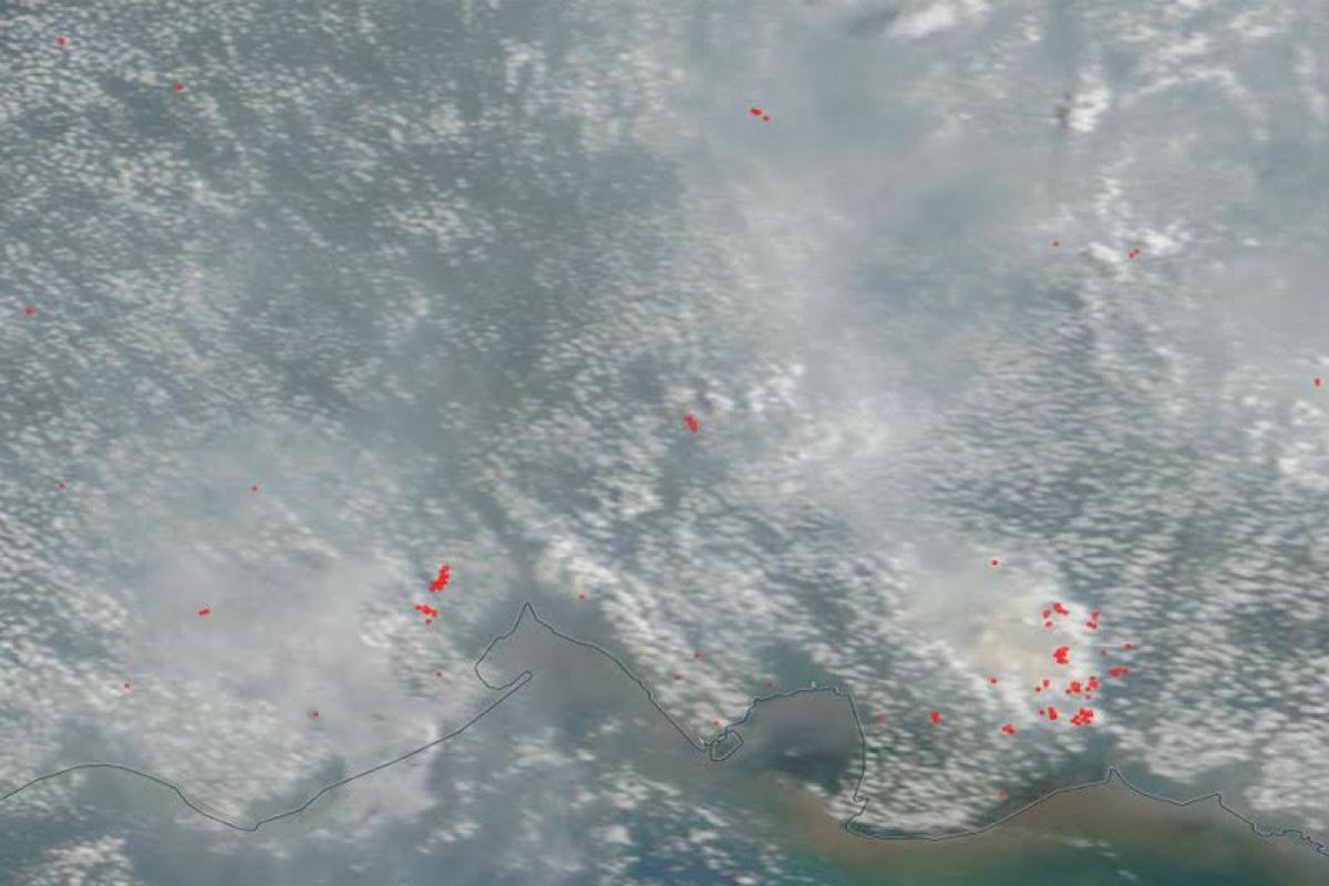 Kabut asap Palangka Raya kiriman dari Kapuas