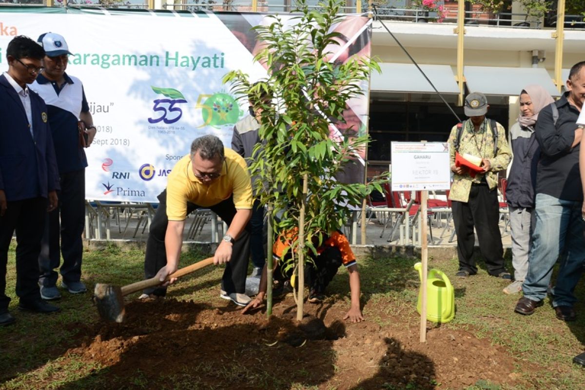 IPB gelar aksi konservasi dan penanaman 100 pohon langka Indonesia