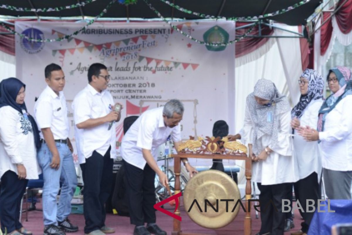 Rektor UBB minta mahasiswa kembangkan jiwa kewirausahawan