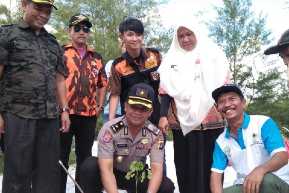 Sapma PP Babel tanam pohon di Pantai Batu Ampar