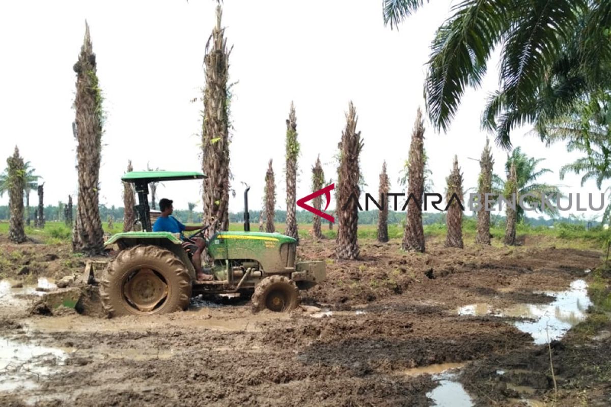 14,88 persen lahan Mukomuko dicetak jadi sawah