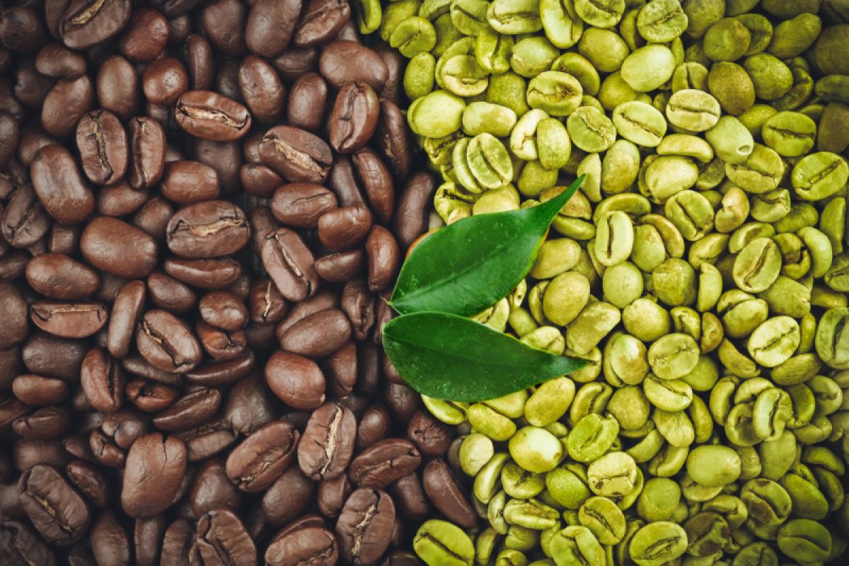 IPB siap mengawal pengembangan kopi Indonesia