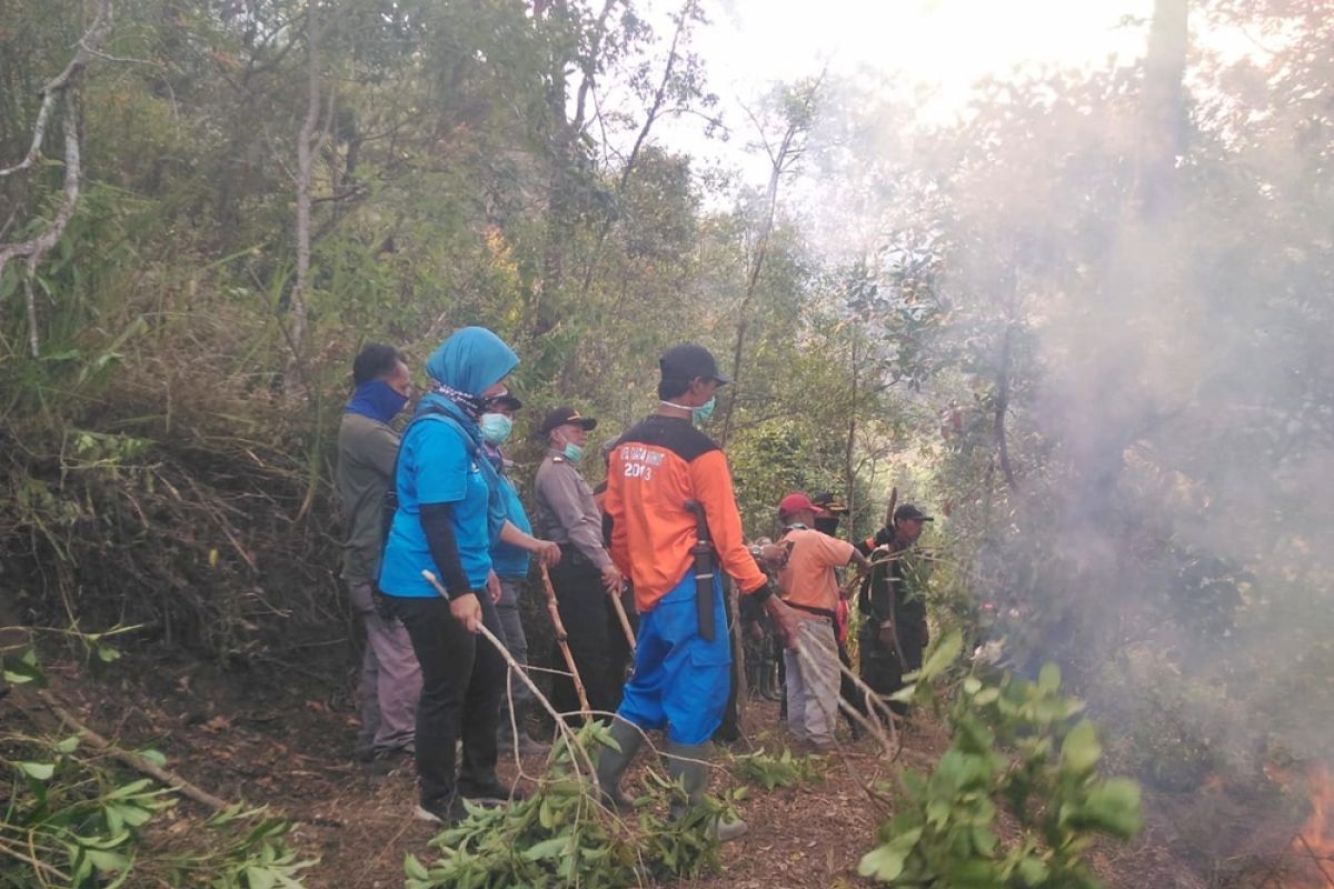 Kebakaran hutan di lereng Merbabu padam