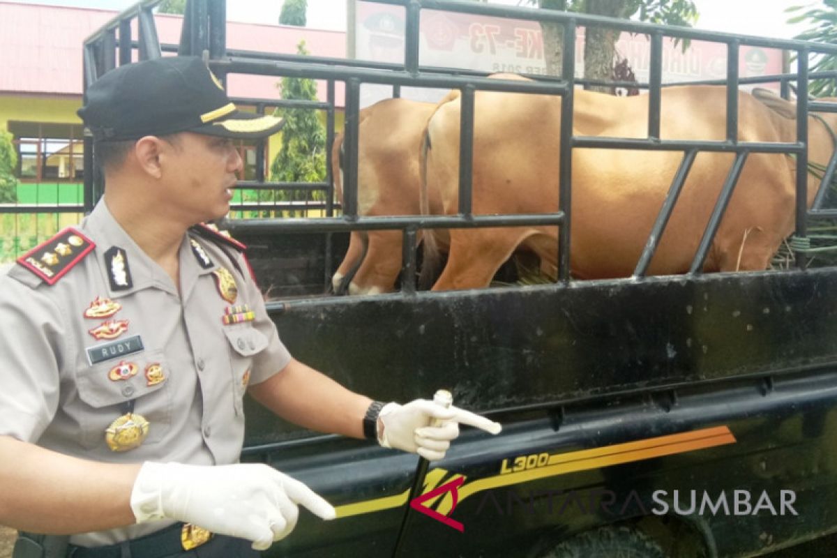 Polisi Dharmasraya bekuk pencuri ternak di 13 lokasi