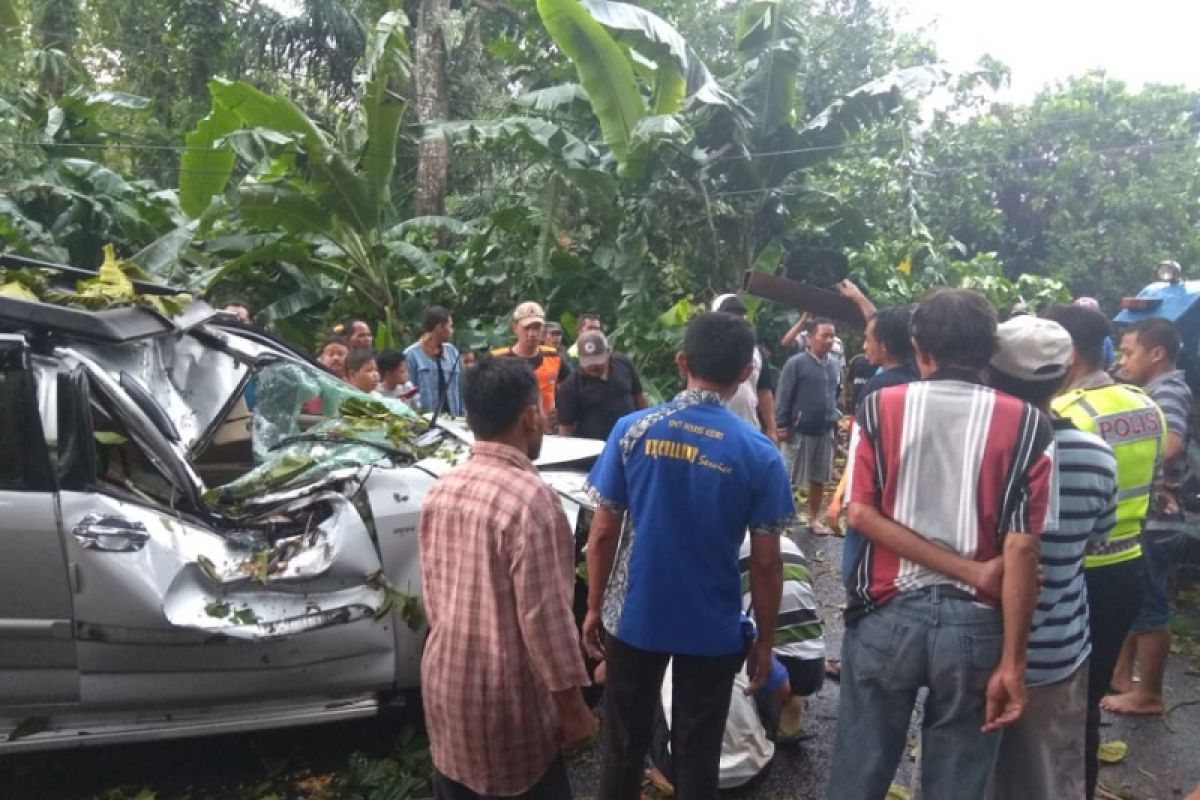 Seorang Warga Kediri Meninggal Setelah Mobilnya Tertimpa Pohon Tumbang