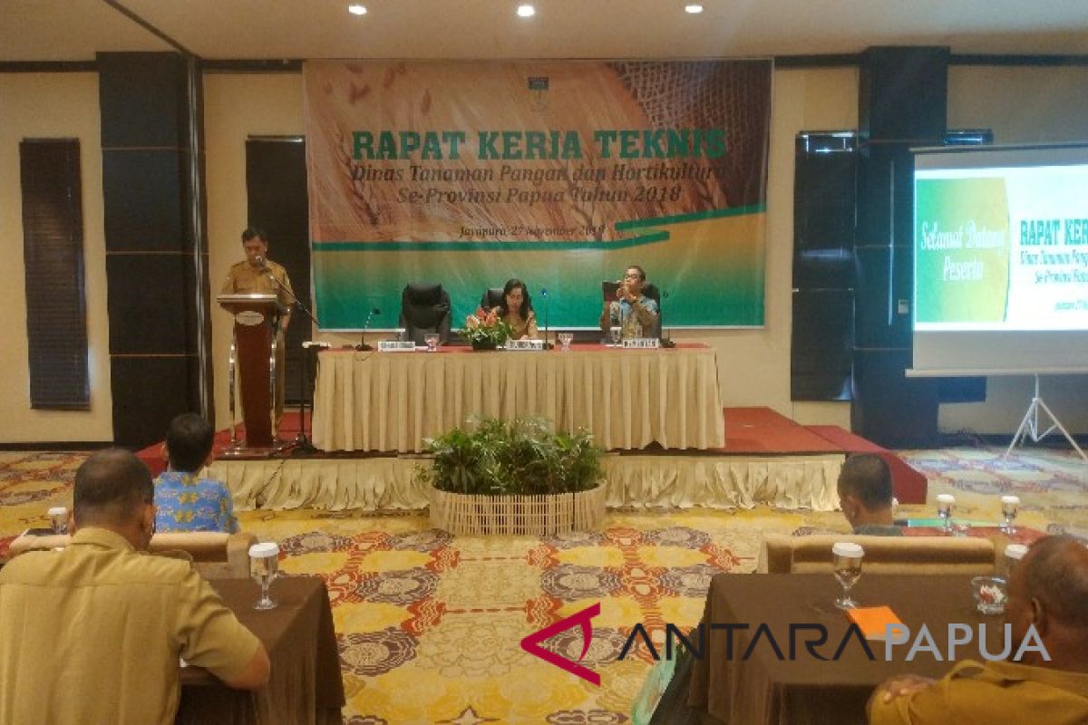 Pemprov Papua targetkan swasembada beras di 2023