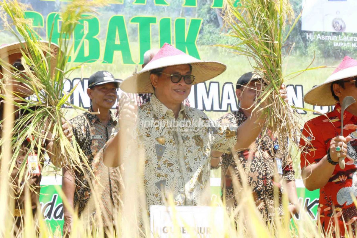 Produksi Beras Kaltara Capai 45,32 Ribu Ton GKG