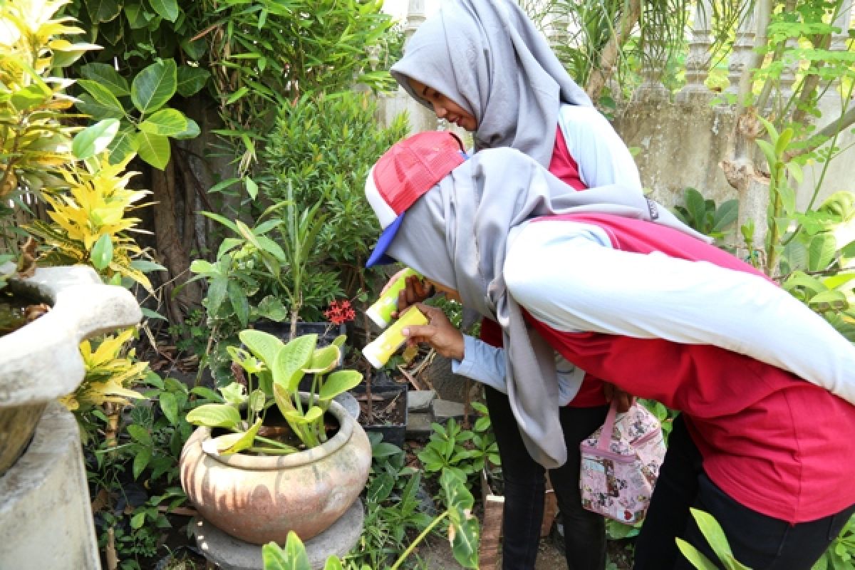 Pemkab Kediri Terjunkan Tim Jumantik Cegah Penyebaran Nyamuk Aedes aegypti