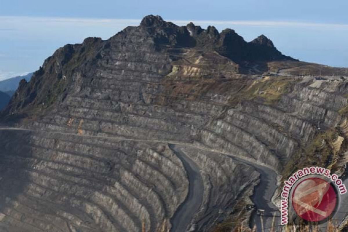 Jonan minta area bekas tambang Freeport ditanami Merbau dan Trembesi