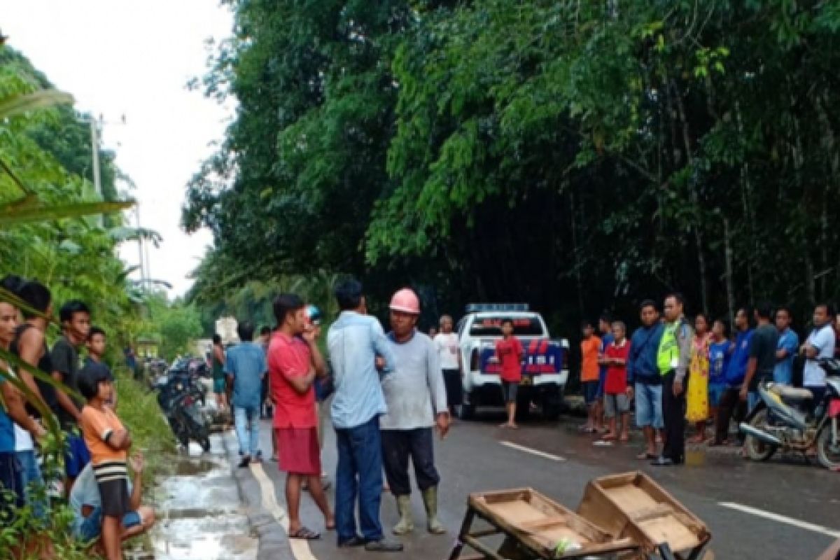 Pedagang sayur di Muara Teweh tewas menabrak pohon roboh