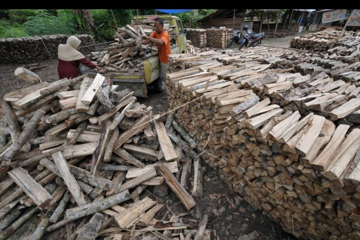 Warga Wondama kembali memanfaatkan kayu bakar