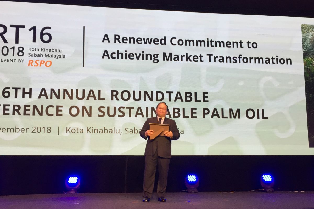 RSPO segera sahkan larangan sawit lahan gambut