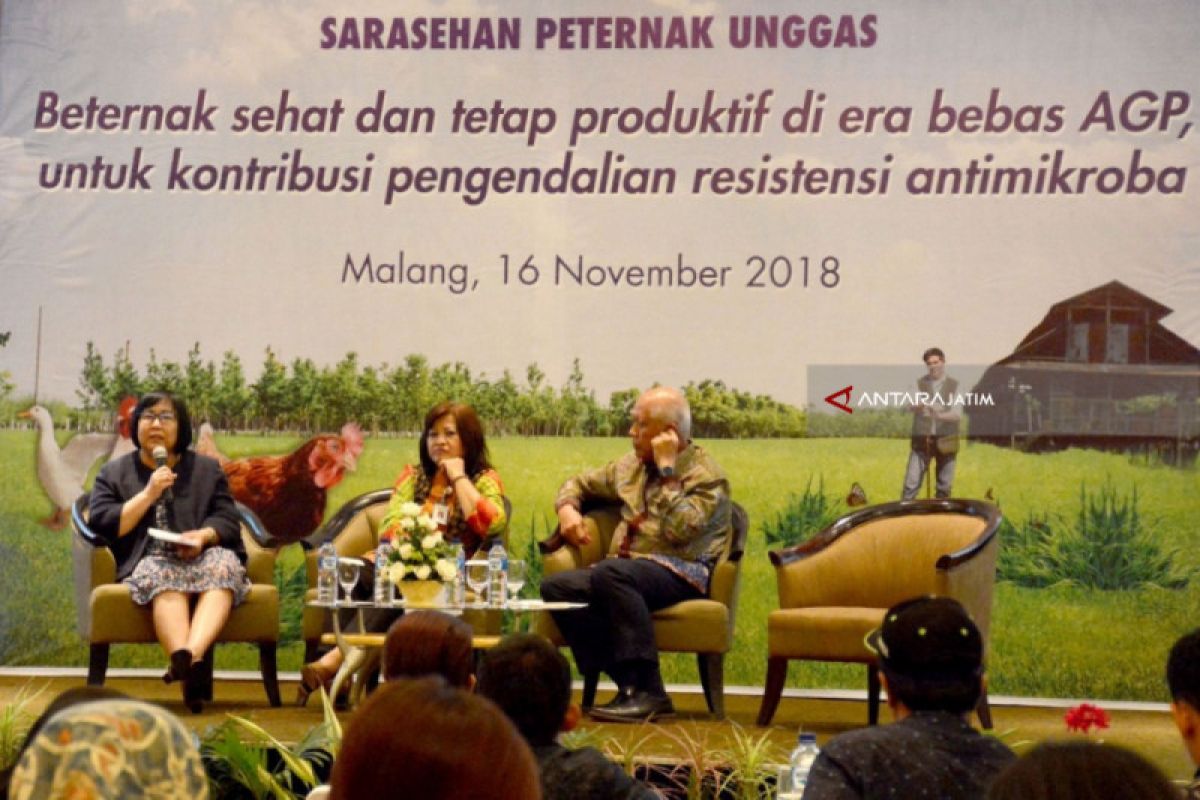 Peternak Diminta Aktif Kendalikan Penggunaan Antibiotik