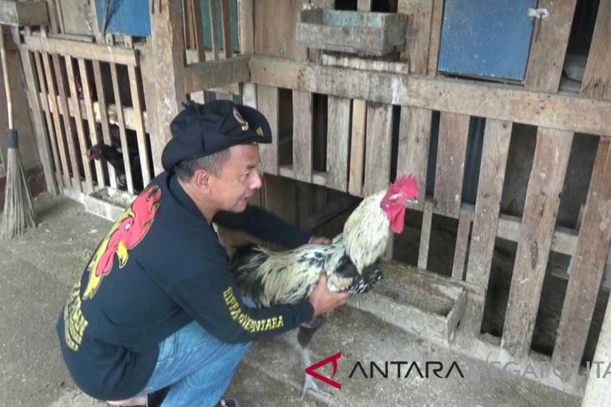 Warga Sukabumi manfaatkan pekarangan rumah untuk beternak