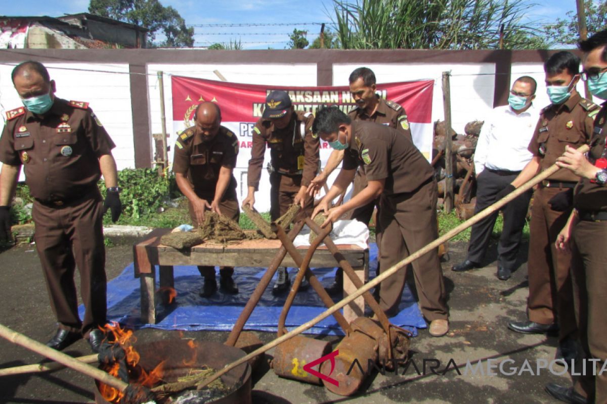 Kejari Sukabumi musnahkan barang bukti ganja kering