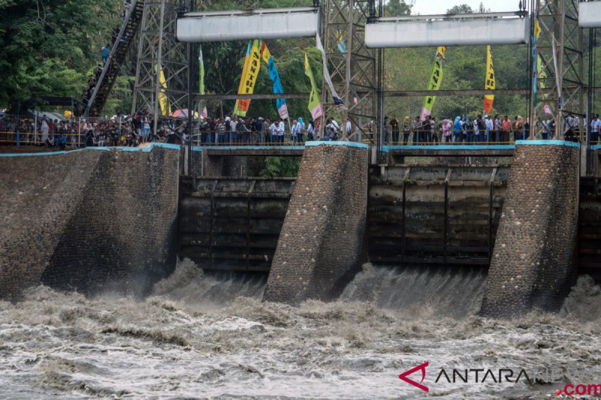 Diguyur hujan, 616 hektare sawah di Pekalongan-Jateng terendam banjir