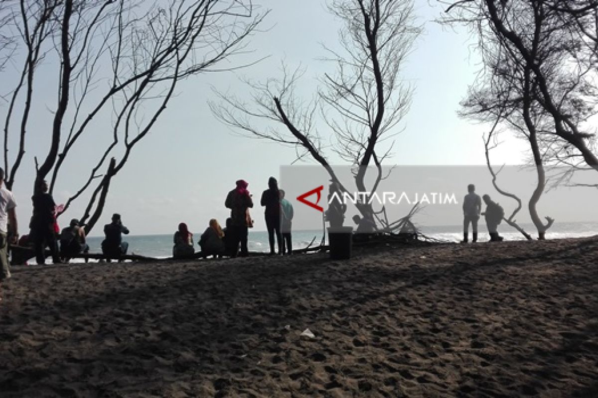 Menikmati Deburan Ombak di Pantai Goa Cemara