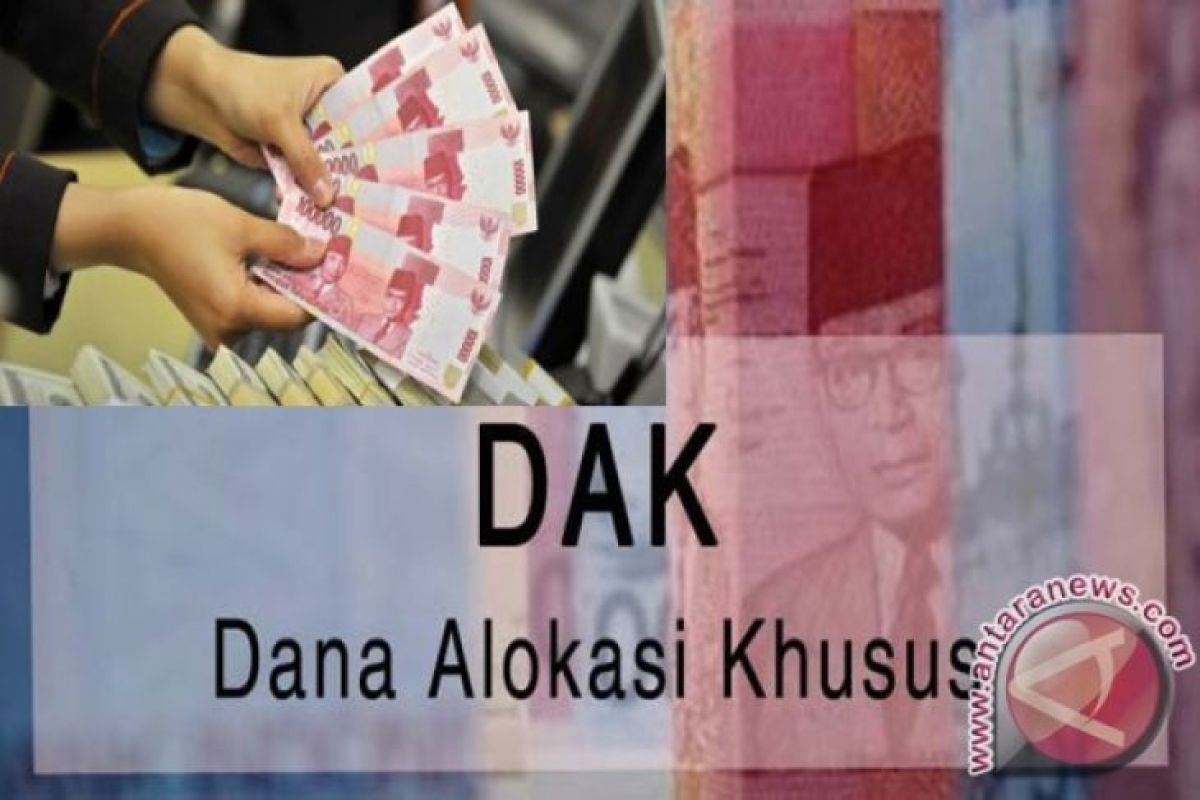 DJPb: pagu DAK fisik Papua 2019 Rp4,991 triliun