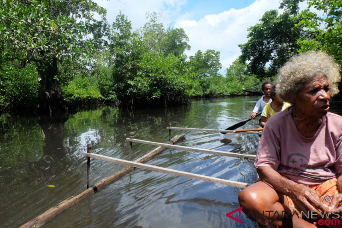 Papua to build agro tourism in Dusner village