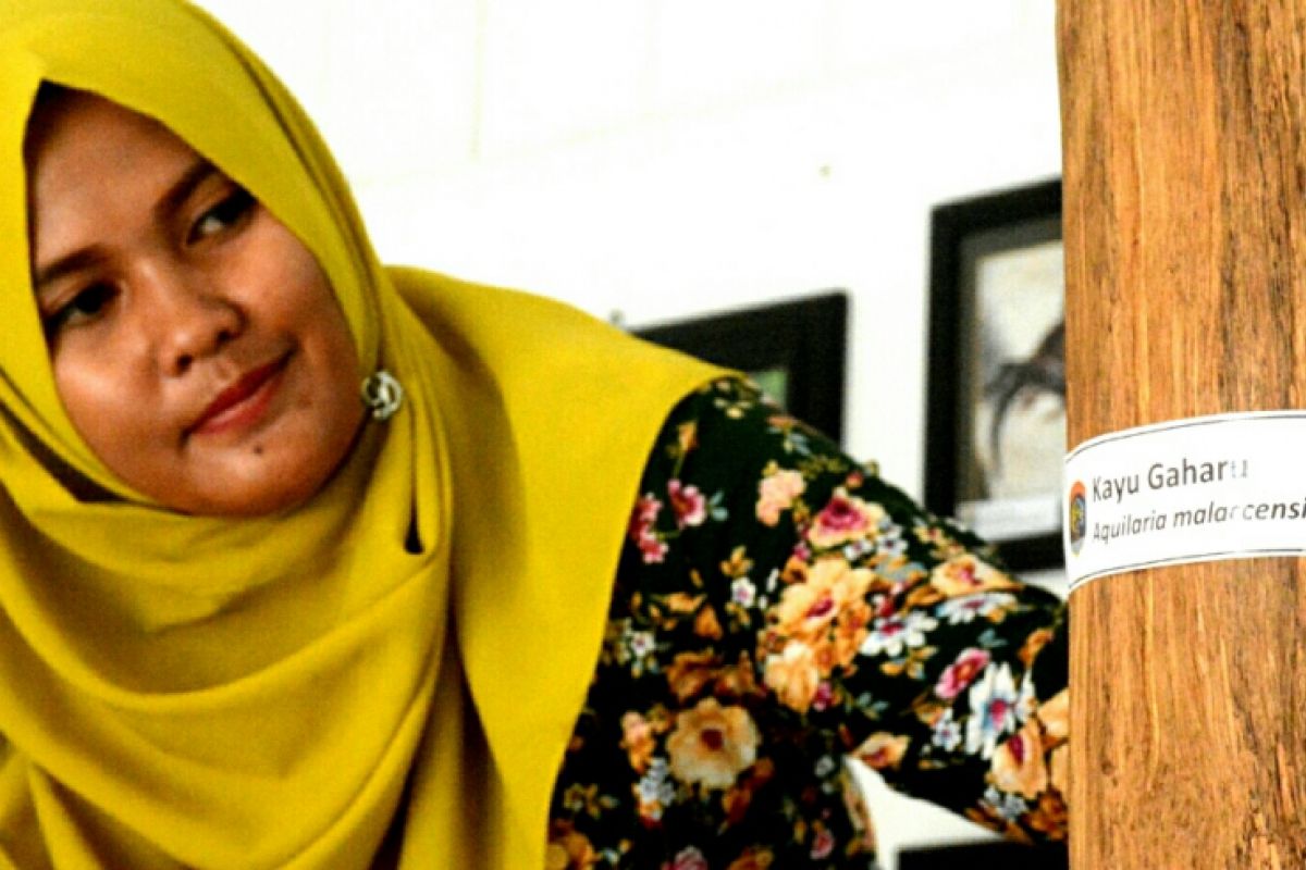 Pesona Museum Rumah Bundar