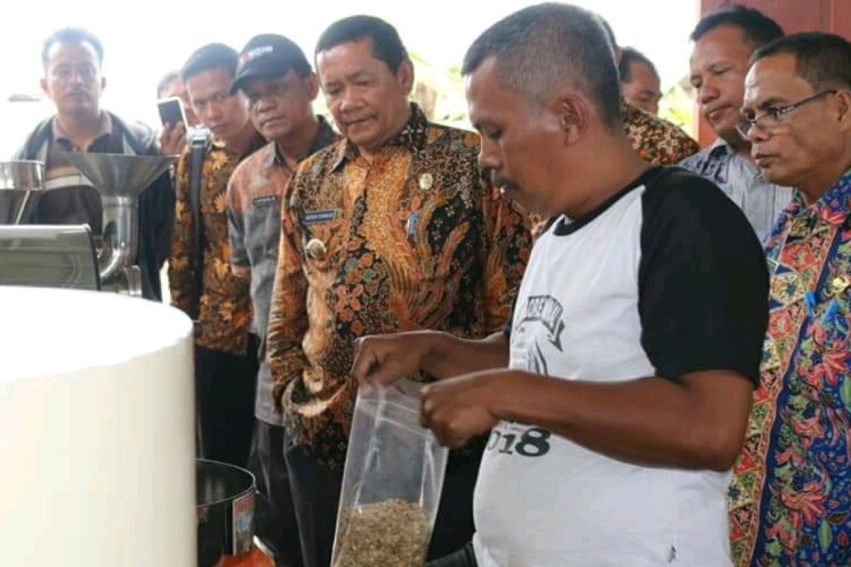 Bupati Samosir tinjau olahan kopi warga