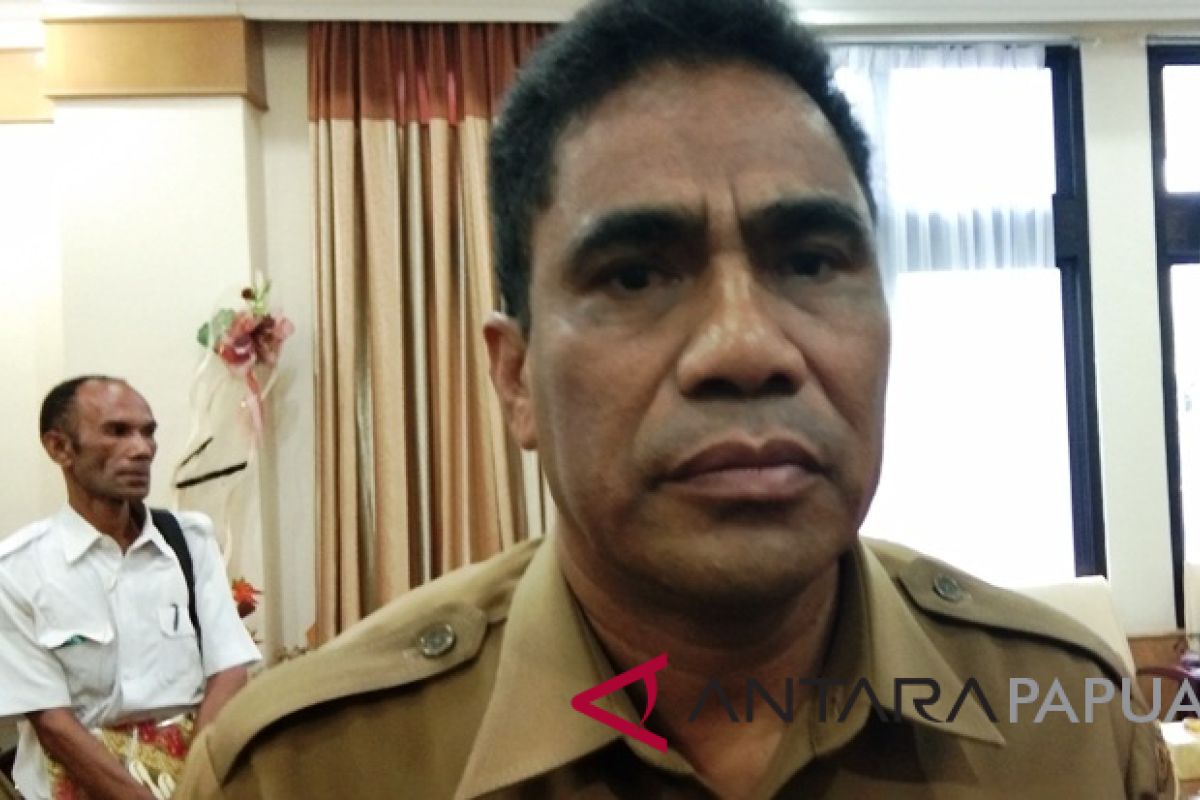 Pemprov Papua: tindak lanjut rekomendasi BPK sudah 80 persen