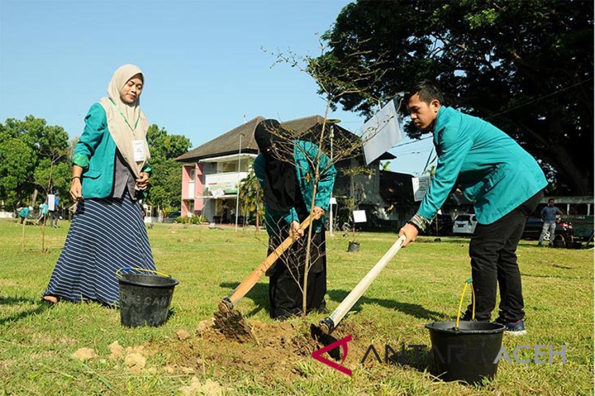 PT PLN tanam 1.000 pohon di Aceh