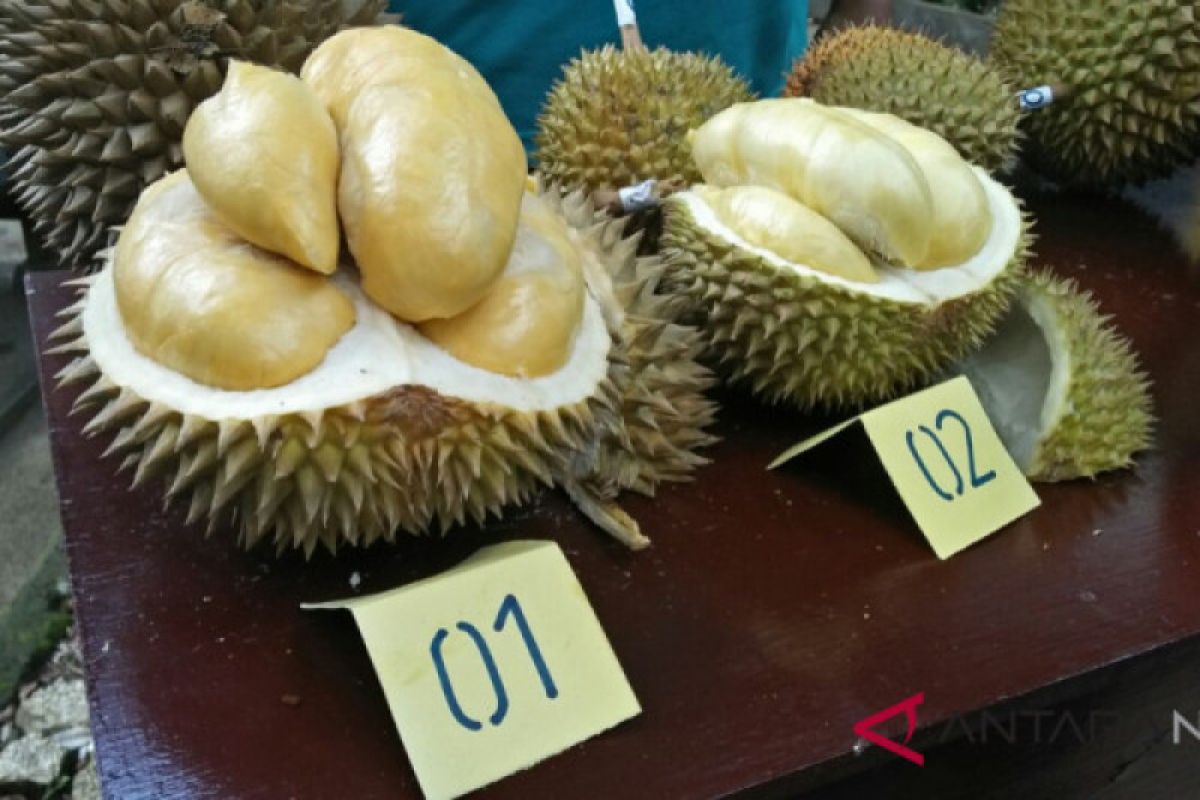 Biji durian bisa diolah jadi tepung tinggi protein