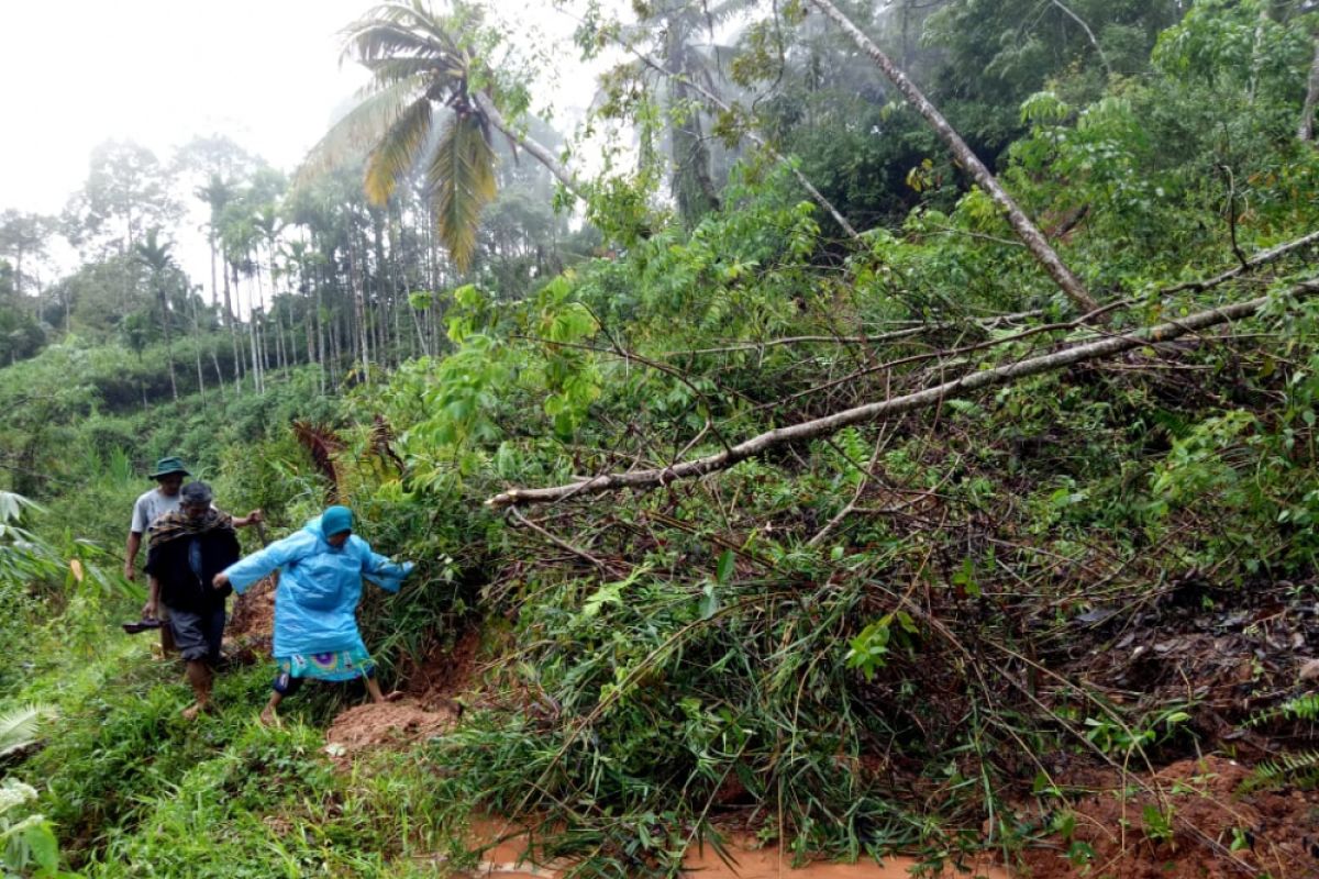 Alat berat dikerahkan bersihkan material longsor yang menimbun jalan di Agam