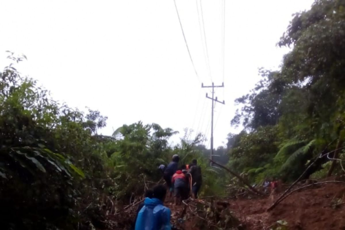 Empat titik longsor di Talamau ganggu akses Pasaman Barat-Pasaman