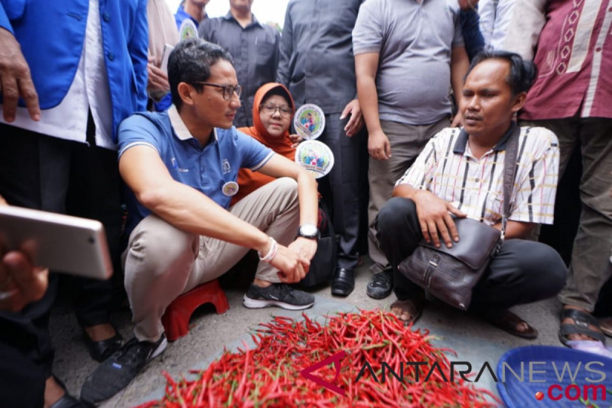 Sandiaga sebut "Politik Cabai" untuk politisi kasar bicara