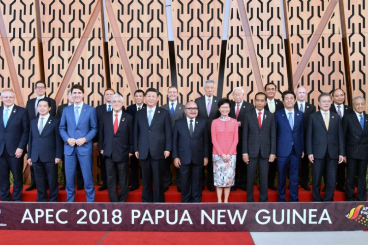 Jokowi attends number of activities at APEC Summit