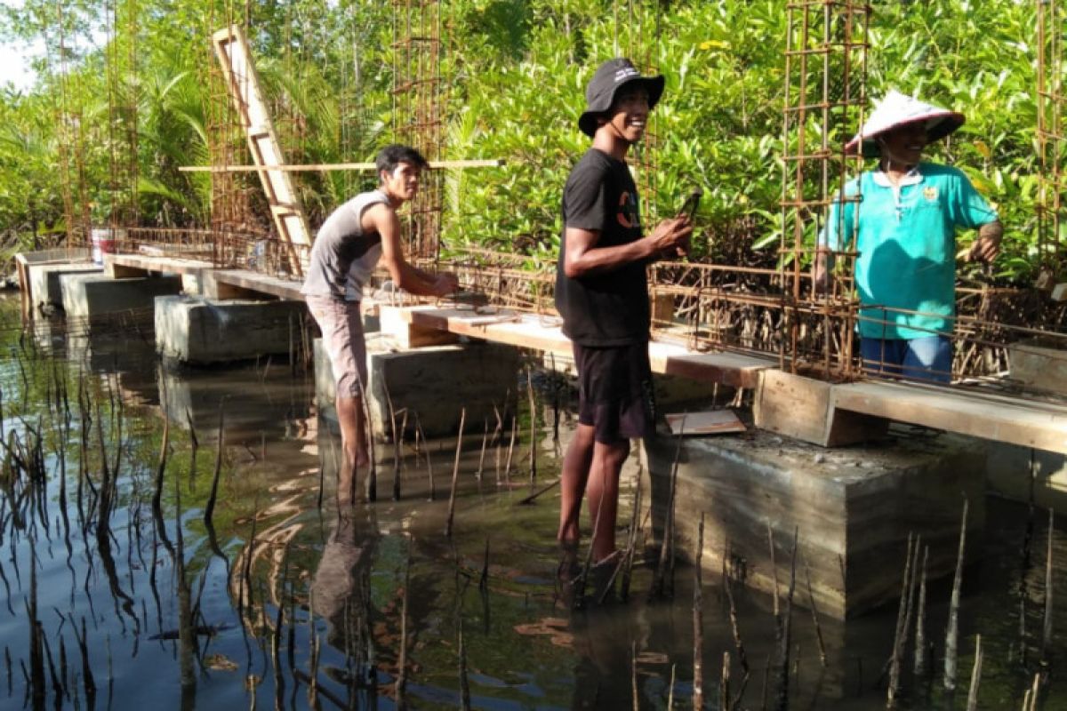 Komunitas pecinta lingkungan Pariaman tambah jalur penelusuran mangrove