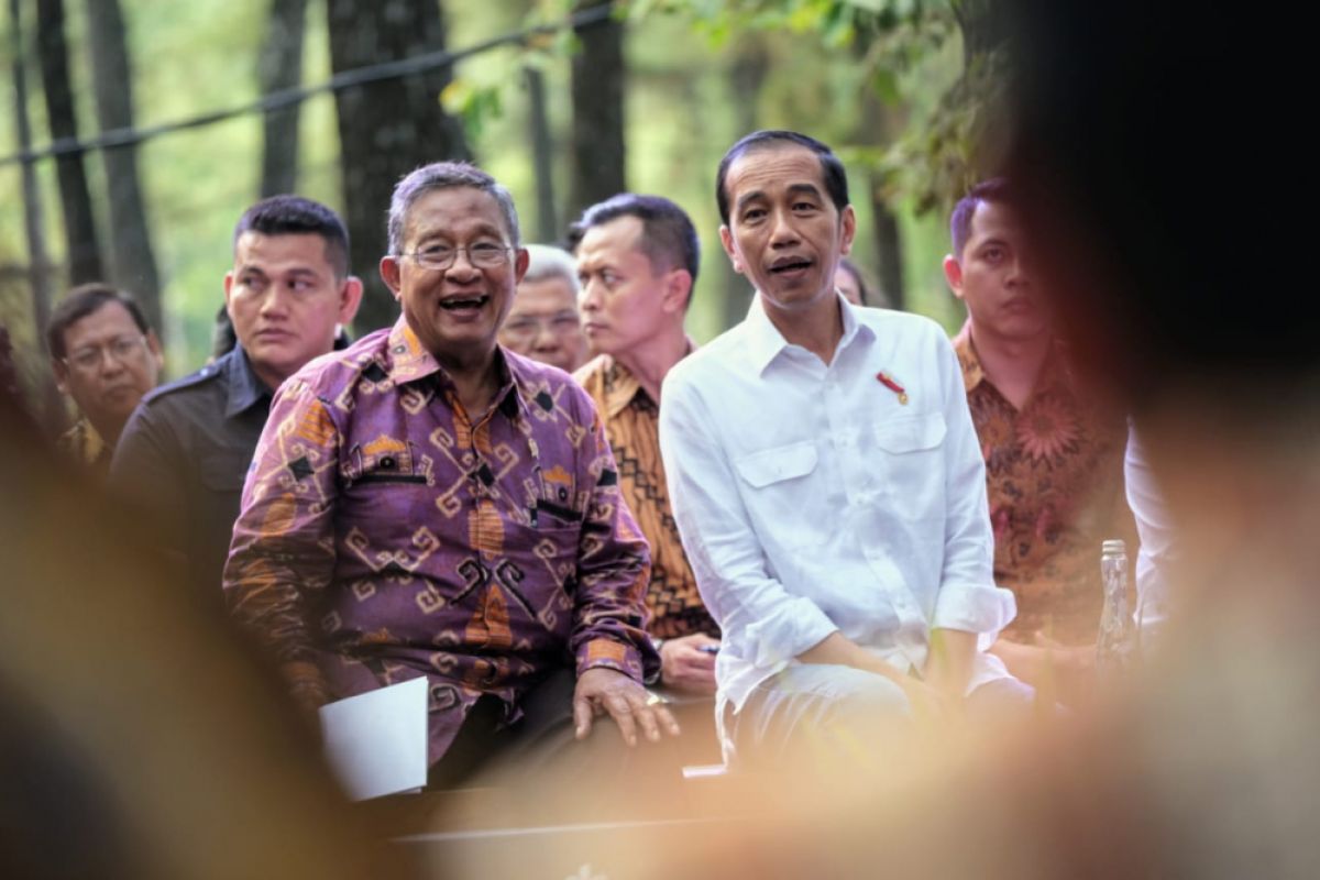 Pemerintah bentuk kantor manajemen dukung perhutanan sosial