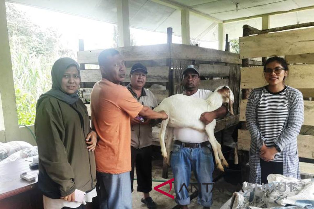 Tapanuli Selatan terima bantuan Kambing Etawa untuk petani