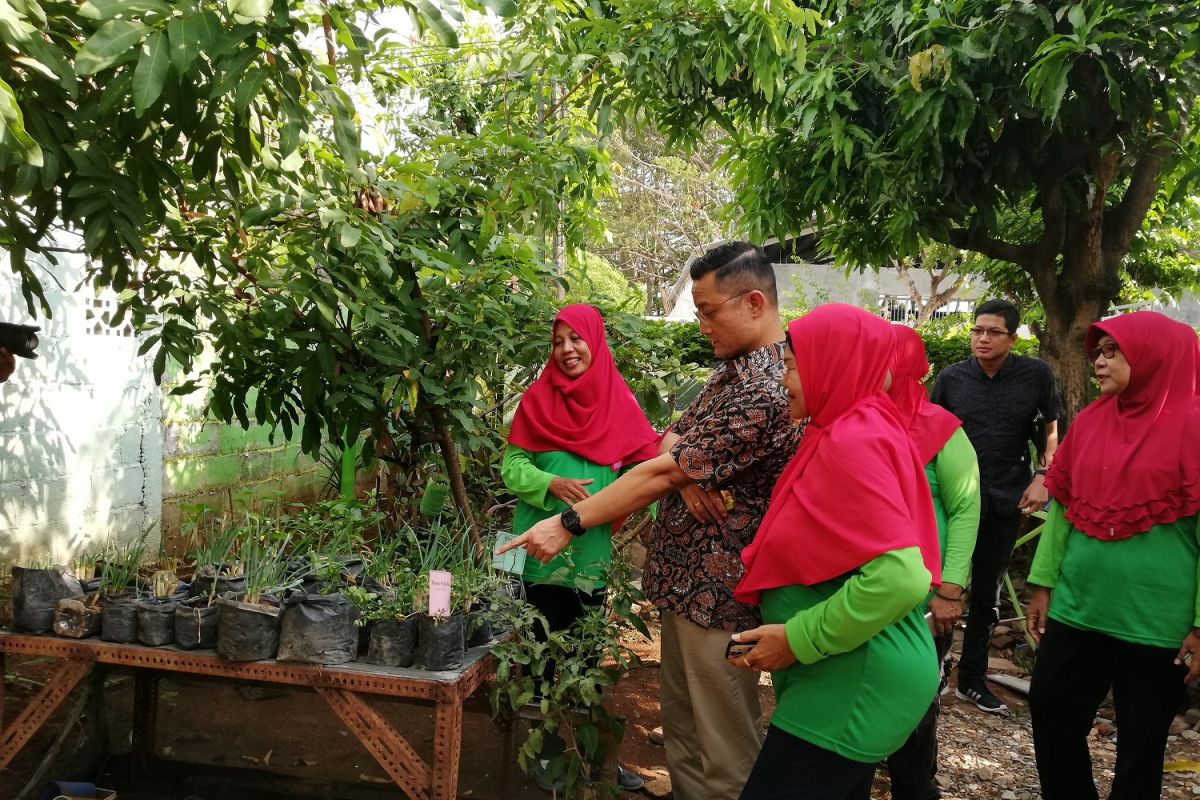 Perempuan tani Purwosari budidayakan ratusan jenis sayur