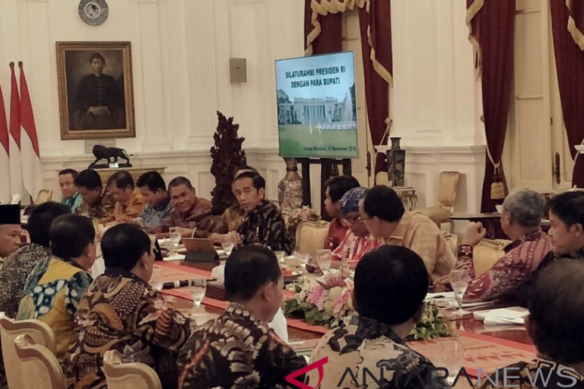 Presiden terima sejumlah bupati di Istana Merdeka