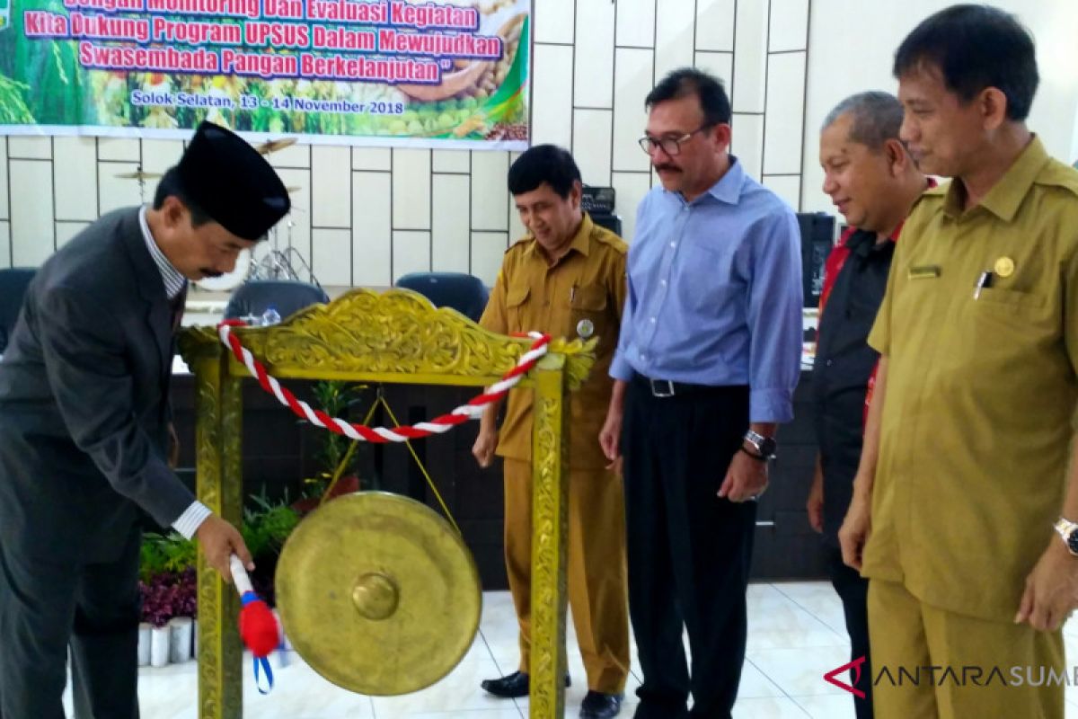 Luas lahan sawah Sumbar berkurang signifikan jadi 127.800 hektare