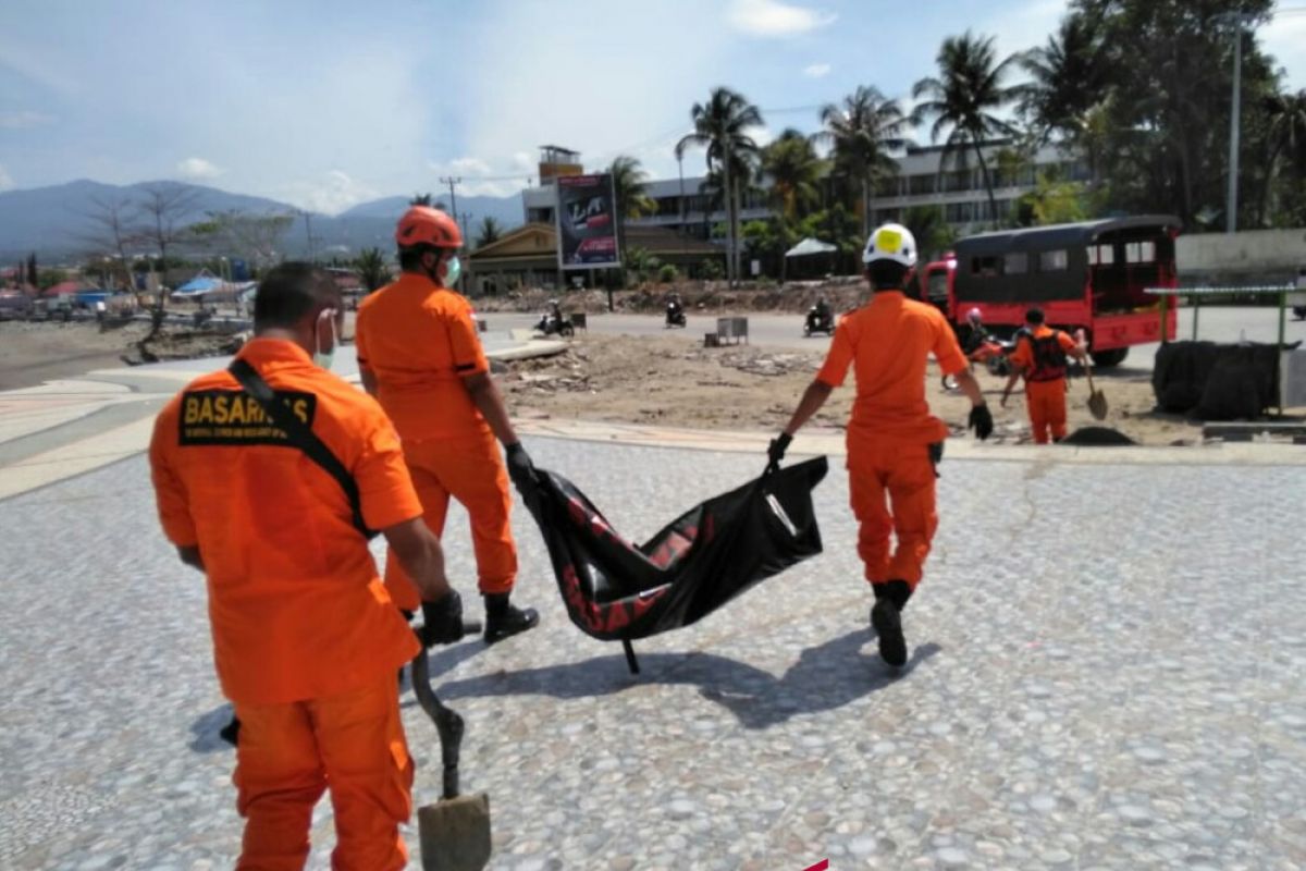 Basarna temukan bagian tubuh korban tsunami Palu