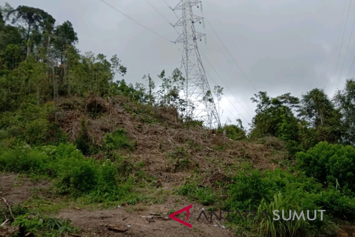 Aparat hukum didesak tindak perambahan hutan Parapat