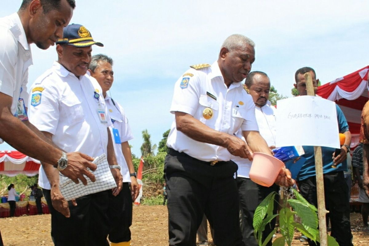Pemprov Papua Barat ubah strategi pengembangan kakao Ransiki